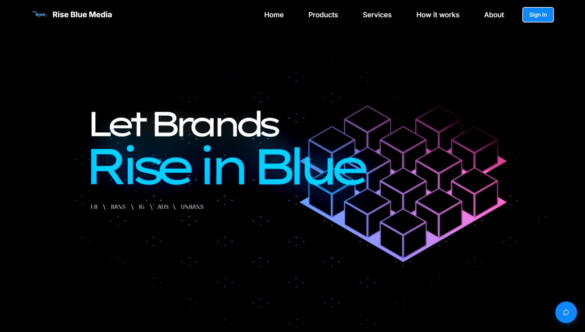 Rise Blue Media homepage hero with brand growth messaging